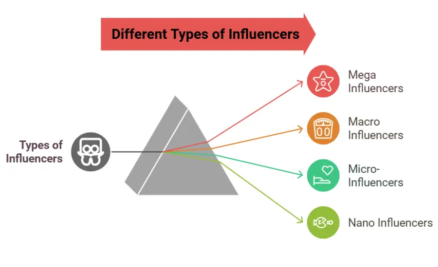 Understanding Different Types of Influencers