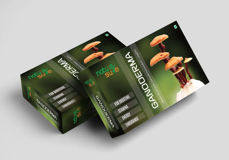 Print and Packaging Design Services in Gurgaon​